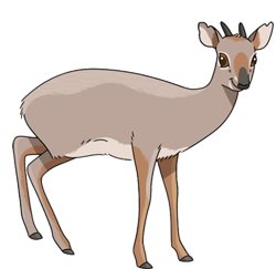 Gif animé antilope marron